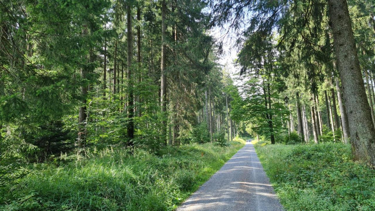 AMW Ferienwohnungen Legau Exterior foto
